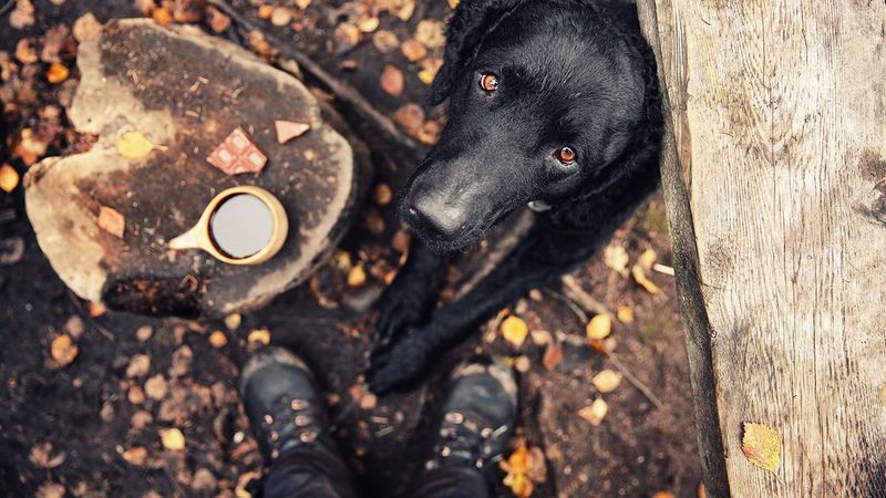 Kaffegram story photo 1